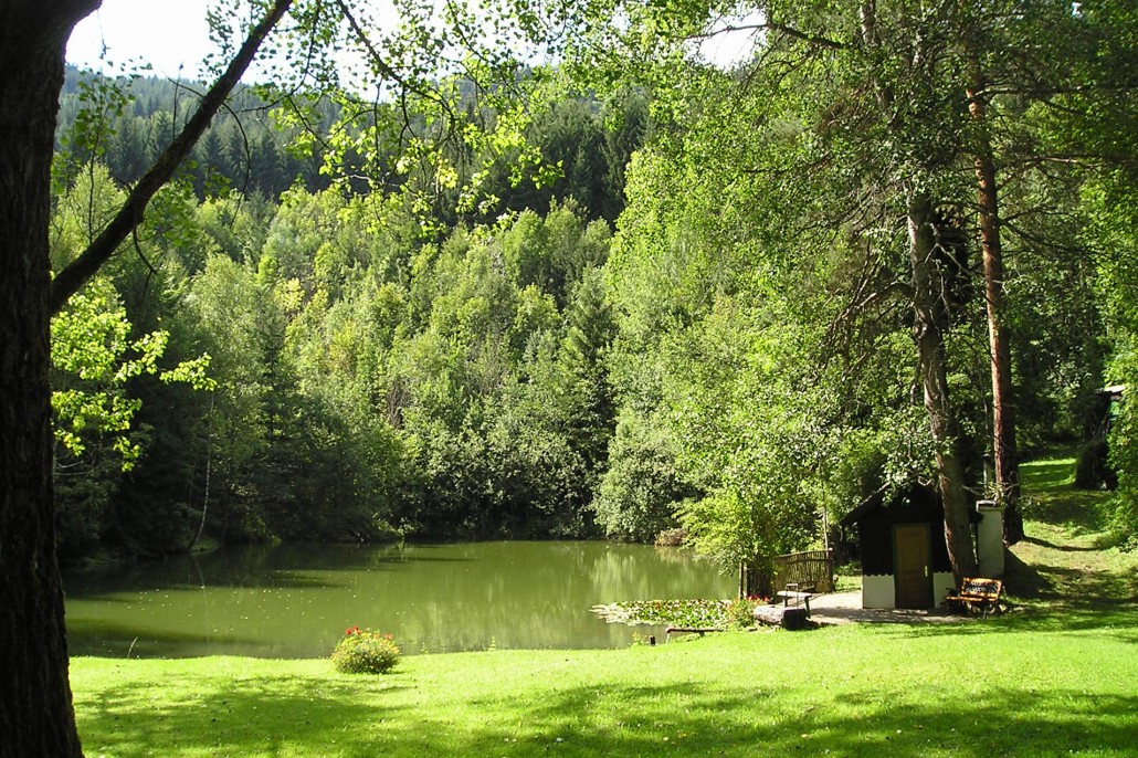 Tagbauteich in Leoben-Seegraben