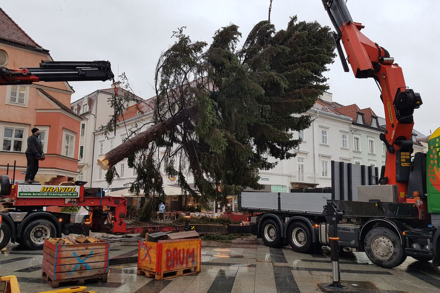 Christbaum ziert wieder den Hauptplatz