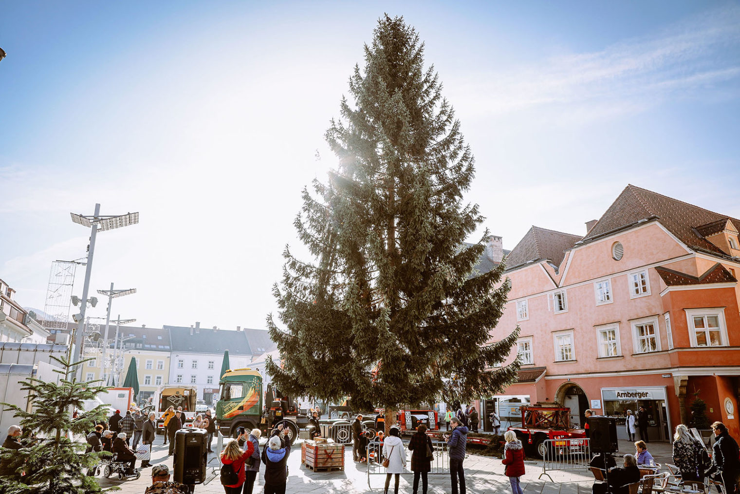 Fichte am Hauptplatz Leoben