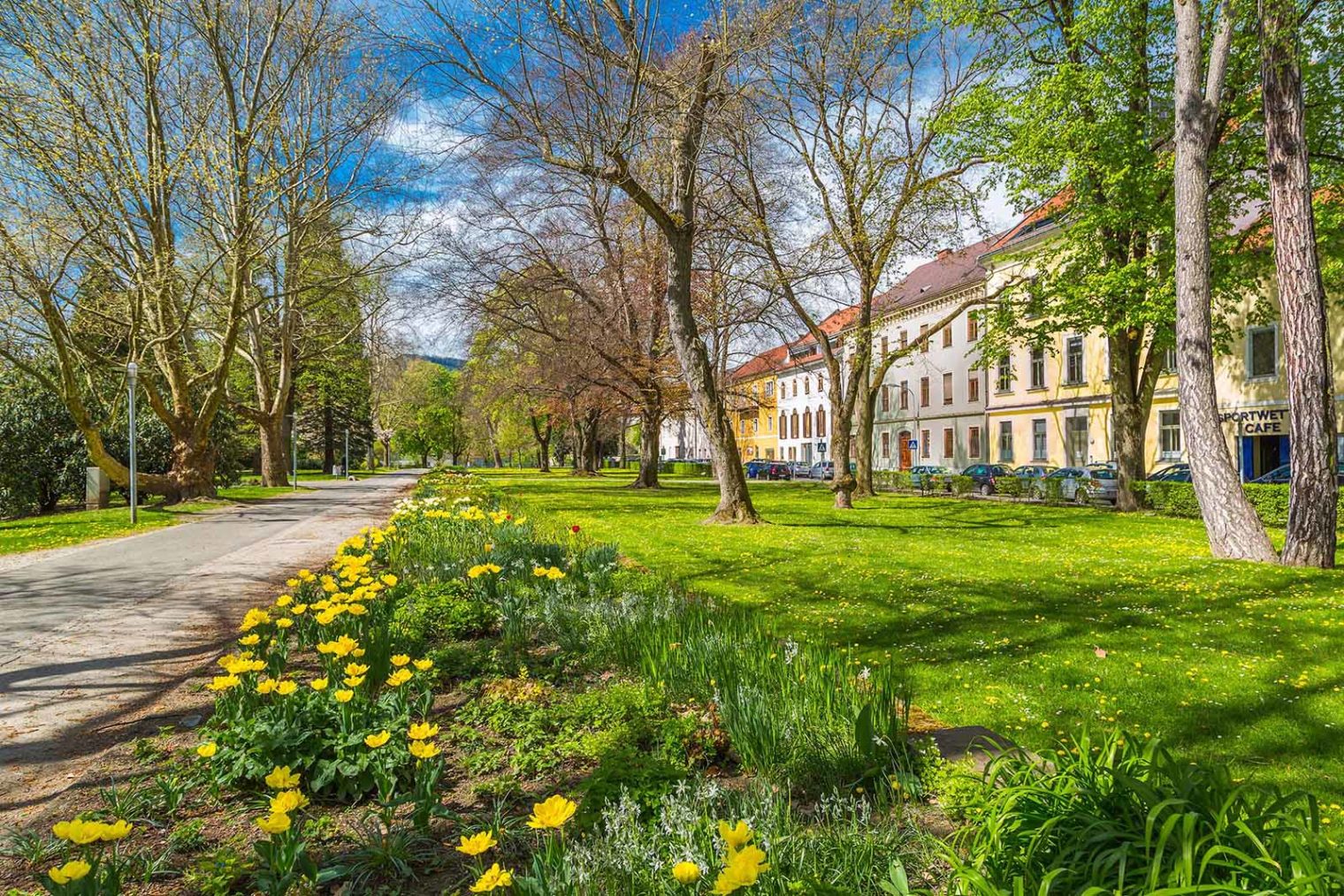 Glacis Park Leoben in Spring