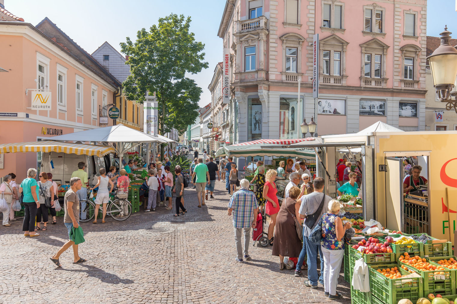 Großes Tummeln am Leobener Bauernmarkt