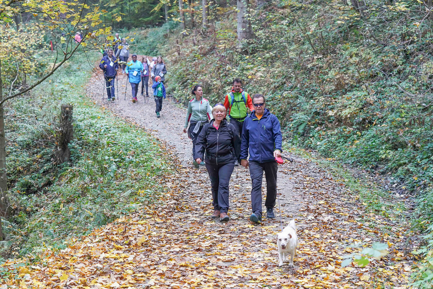 TeilnehmerInnen beim Fitmarsch Leoben