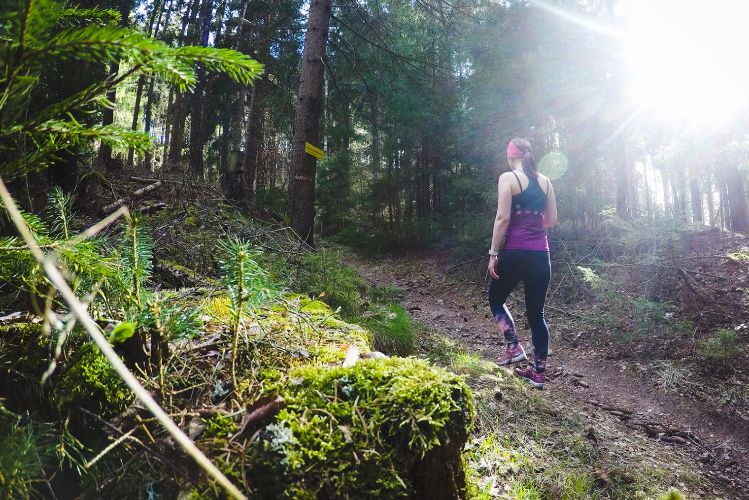 Person wandert im Wald