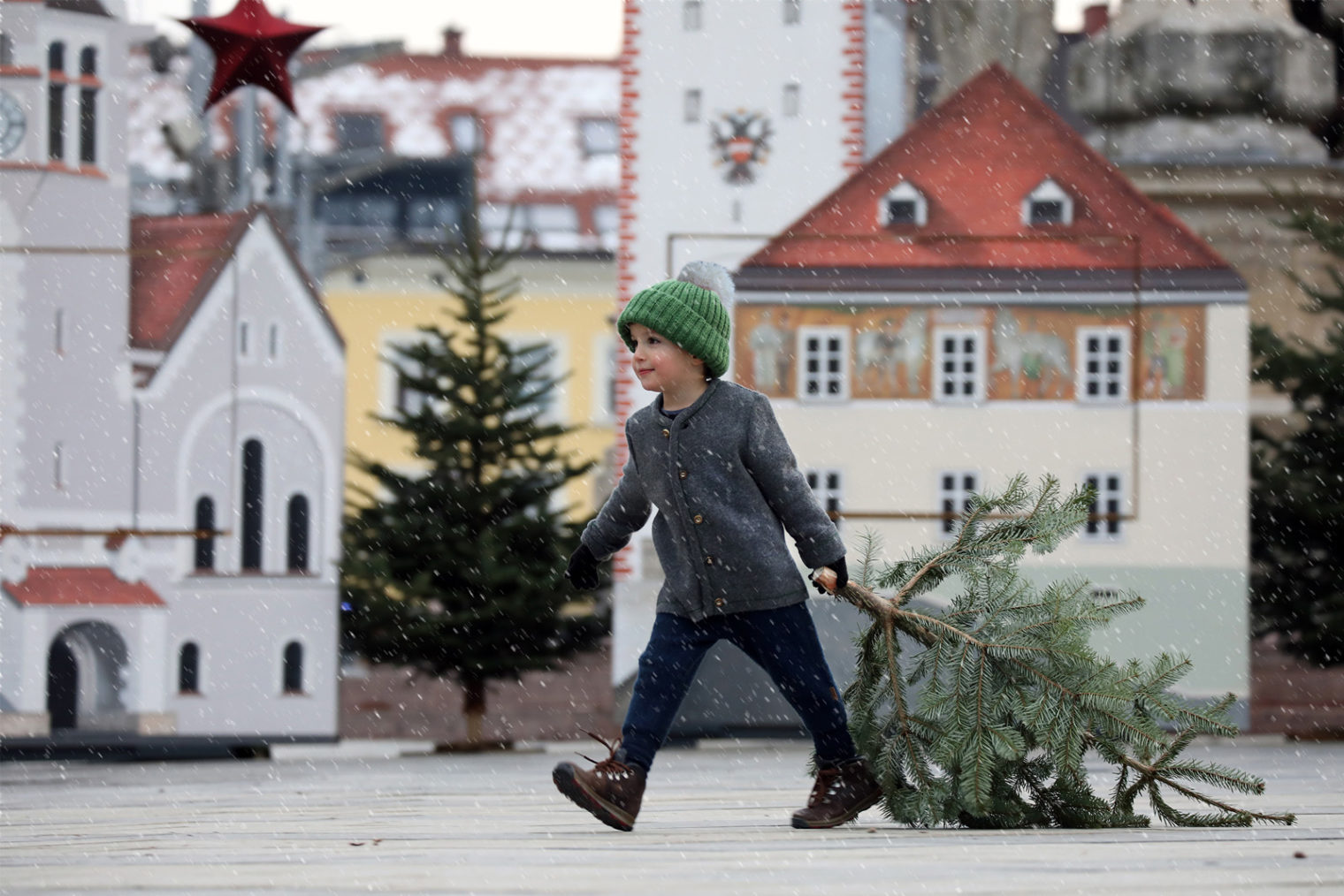 Bub mit Weihnachtsbaum vor adventlicher Kulisse