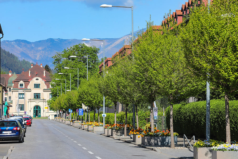 Pestalozzistraße street with view of Werkshotel Donawitz