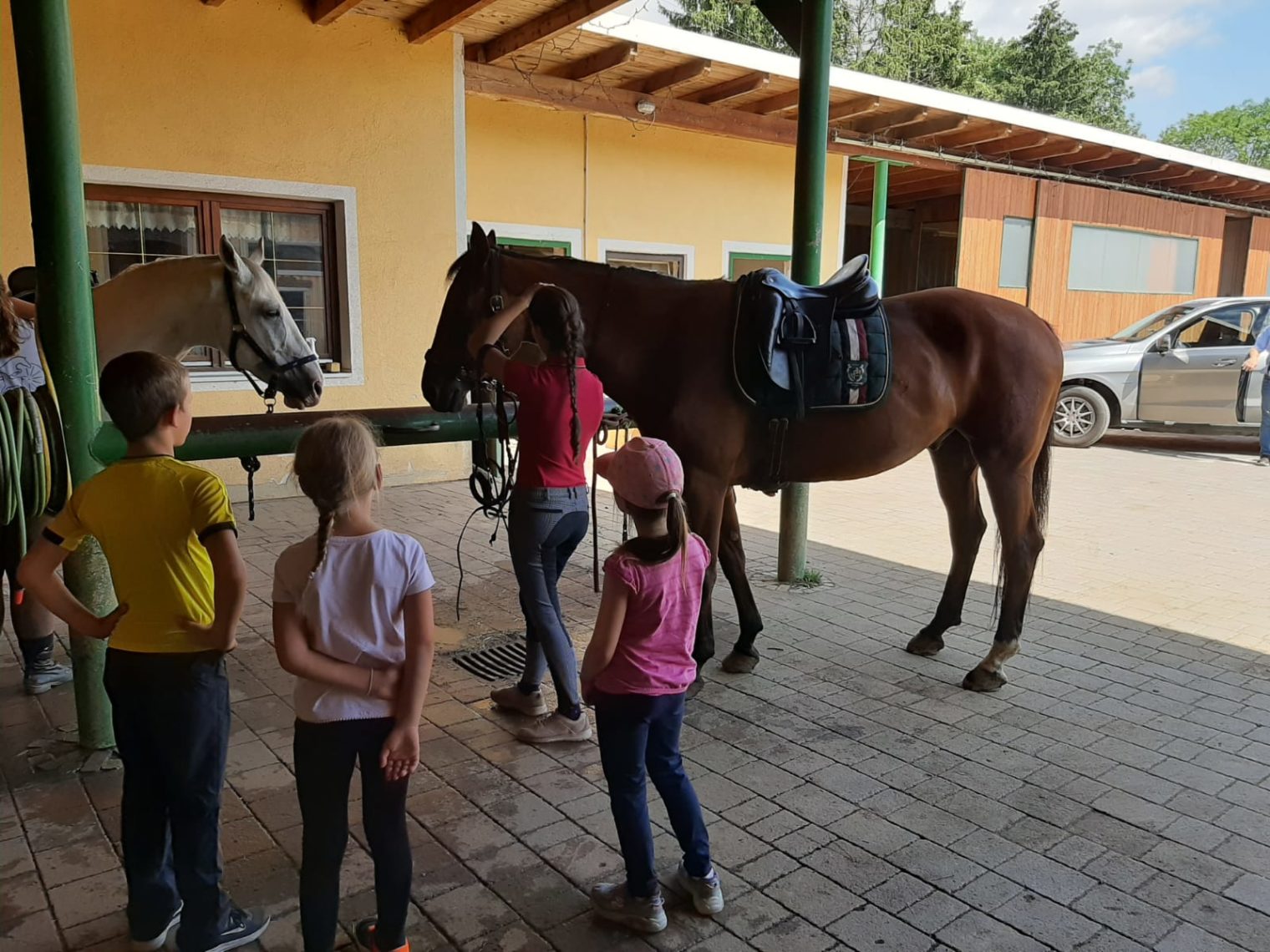 Kinder mit Betreuerin und zwei Pferden im Rahmen des Ferienprogramms Leoben