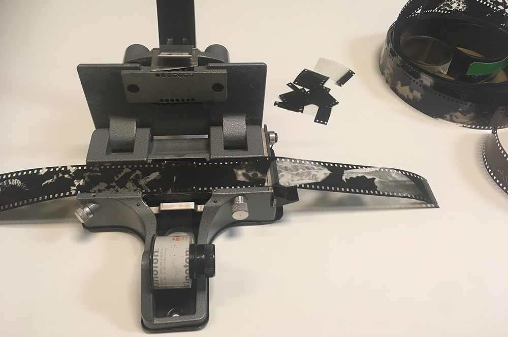 Filmnegative