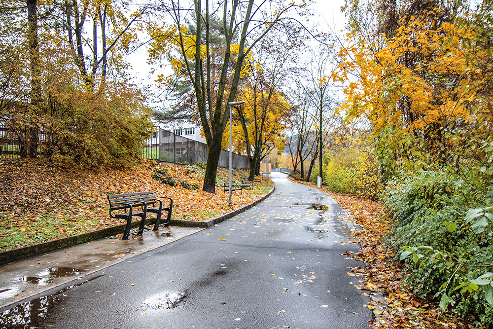 Stadtkai Herbst