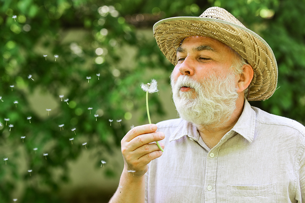 Alter Mann mit Sonnenhut bläst auf Pusteblume