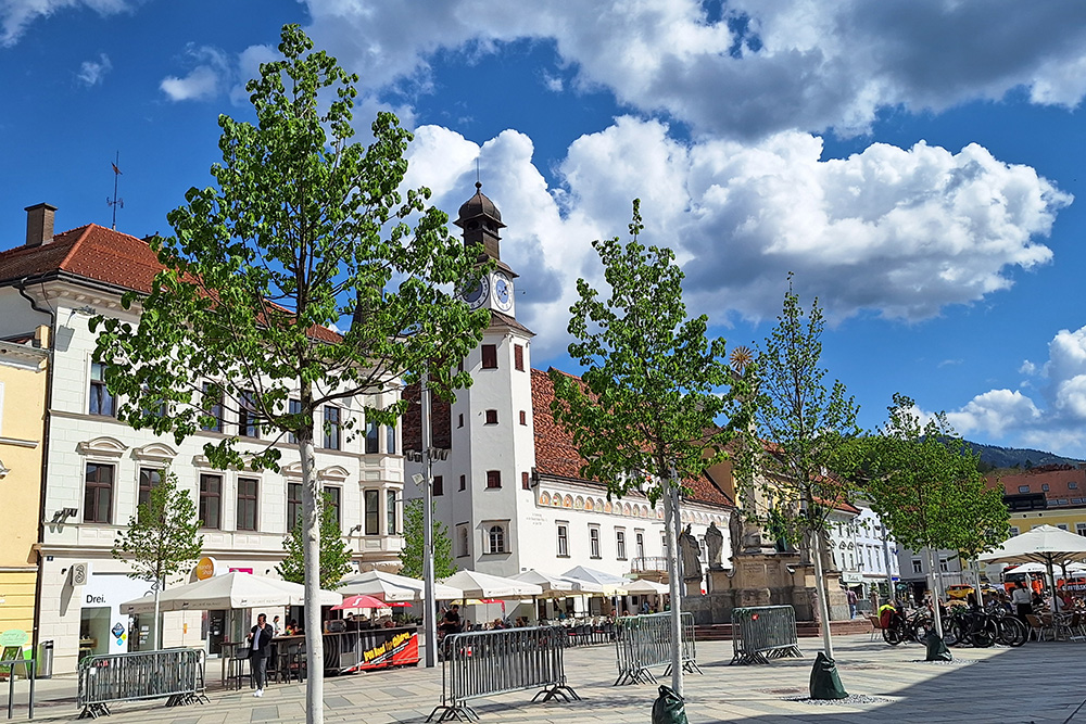 Bäume am Hauptplatz Leoben