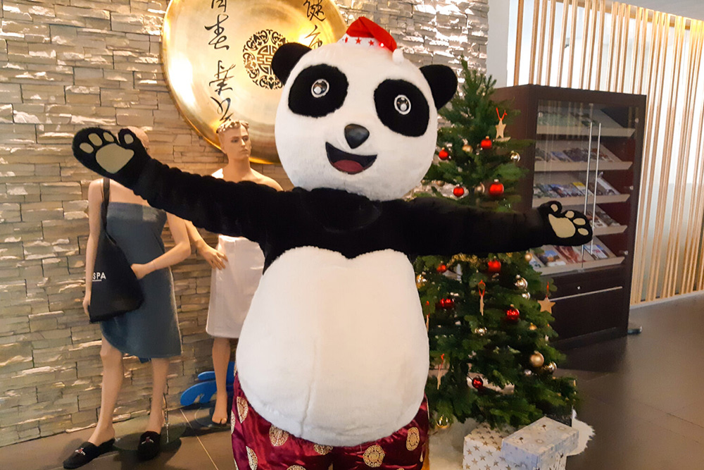 Panda Xusu, Plüsch-Maskottchen von Asia Hotel & Spa Leoben, in Lebensgröße mit ausgebreiteten Armen