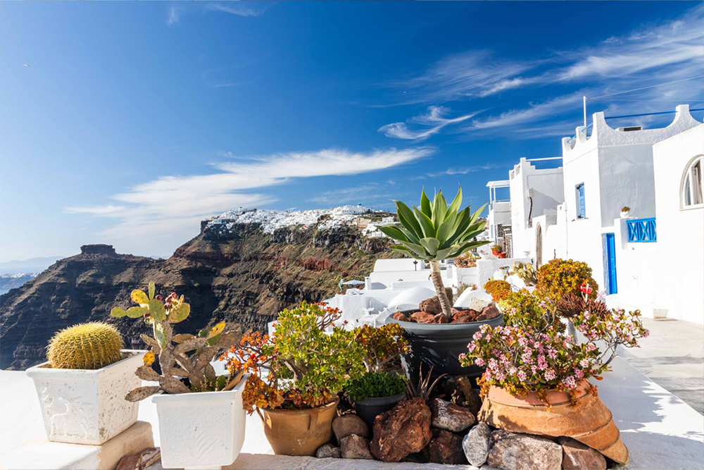 Insel Santorin: Topfpflanzen und im Hintergrund Landschaft und typisch weiße Gebäude unter blauem Himmel