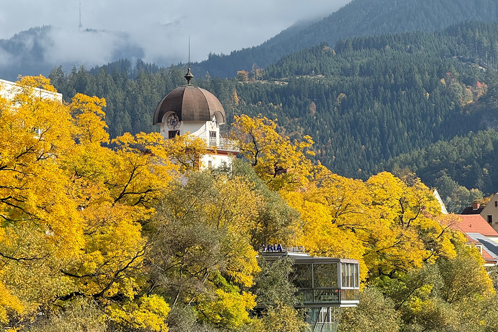 Schwammerlturm hinter Bäumen mit Herbstfärbung