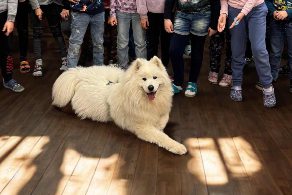 Therapiehund Clio mit Kinder