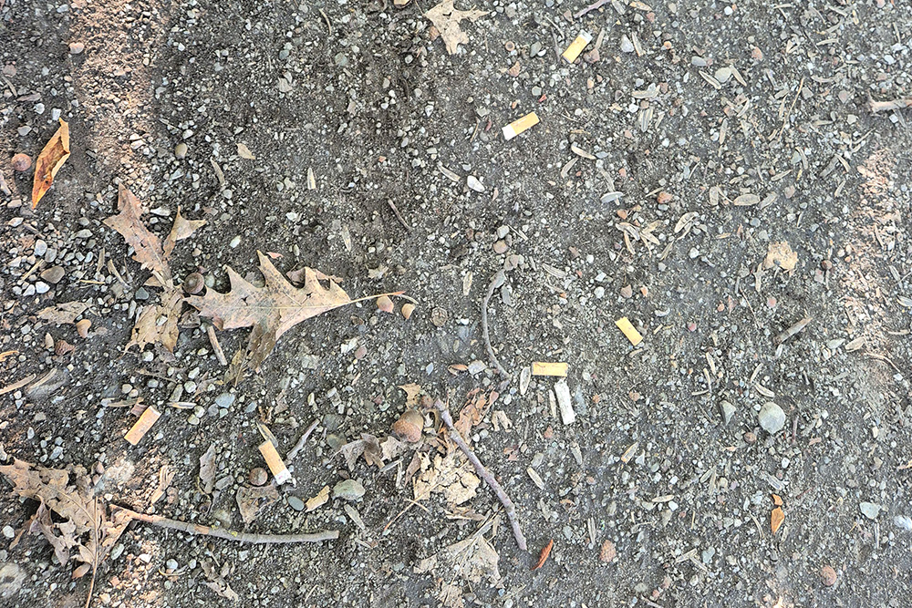 Zigarettenstummel liegen auf sandigem Boden mit Laub und Eicheln.